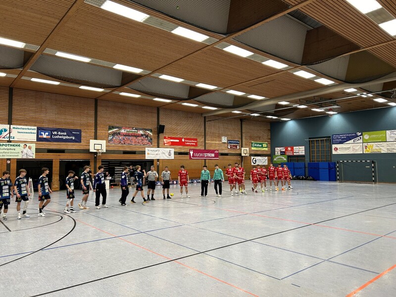 Rhein Neckar Lwen B1m